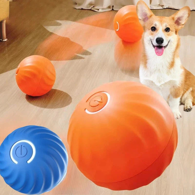 WoofRoll – Interaktiv Boll