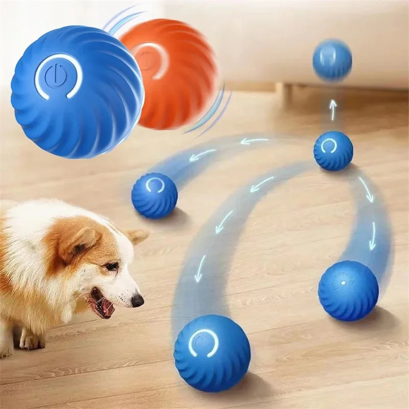 WoofRoll – Interaktiv Boll